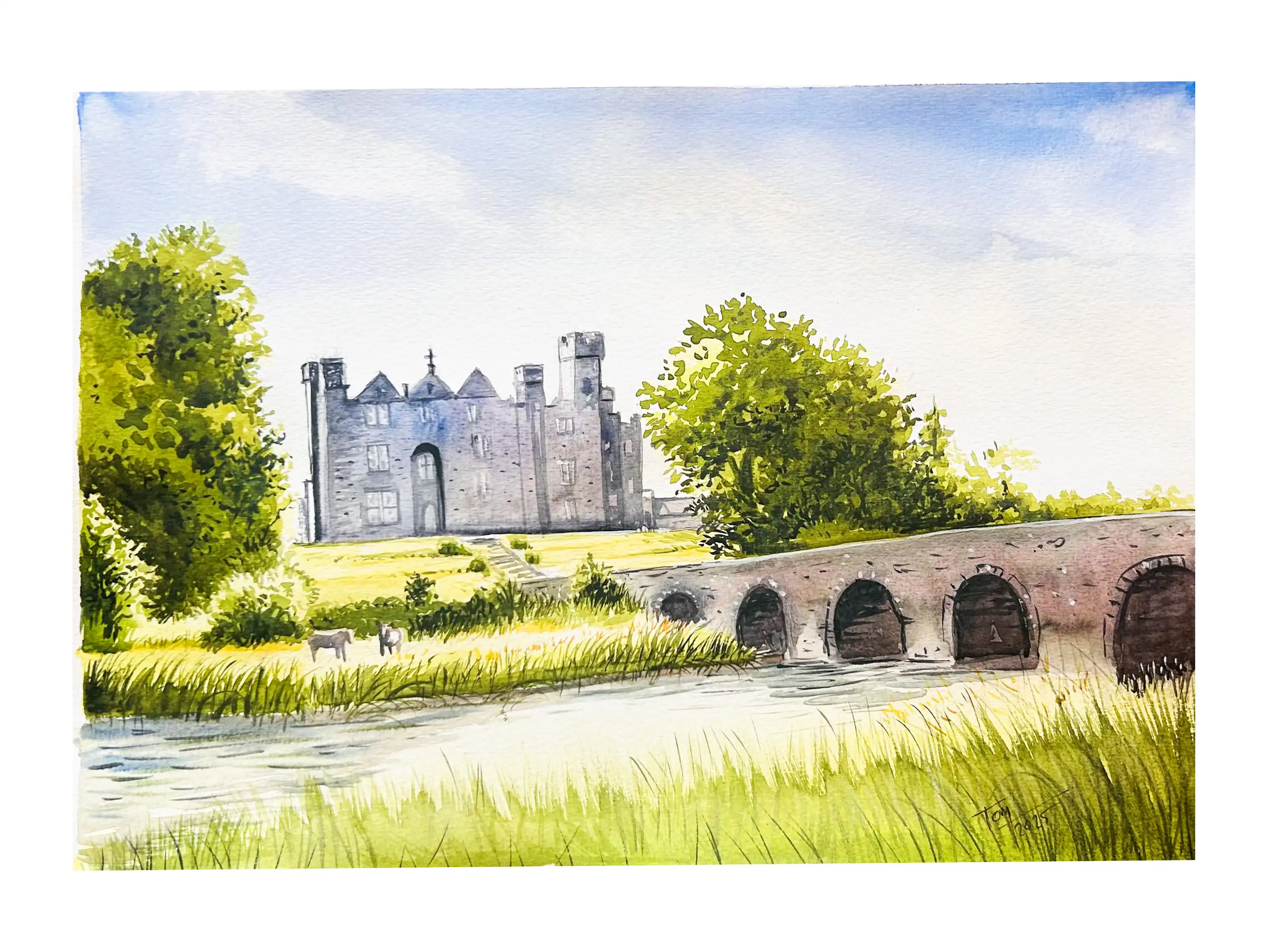 Donamon Castle Bridge 30x50cm